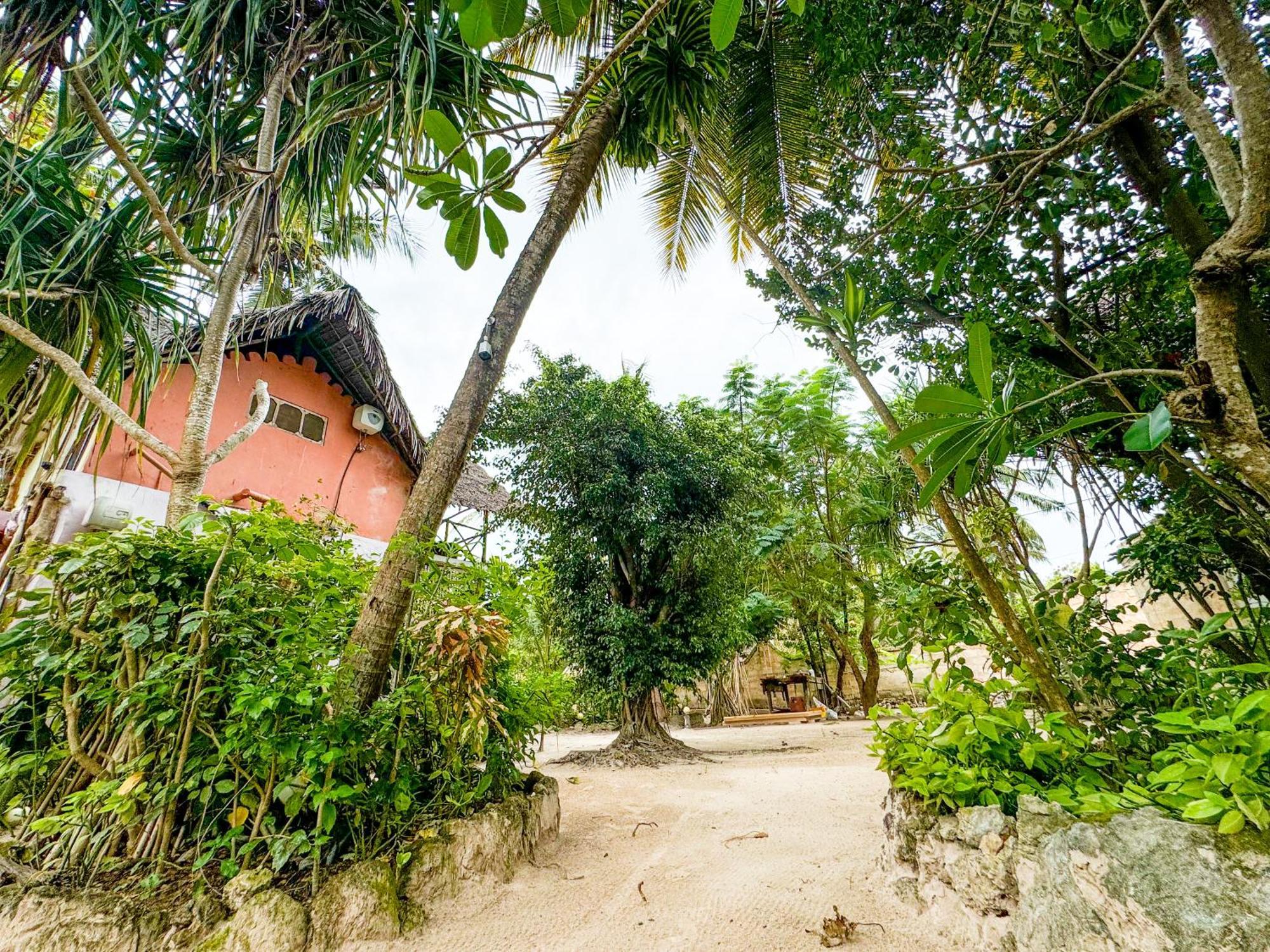 Sagando Bungalows Zanzibar Michamvi 외부 사진